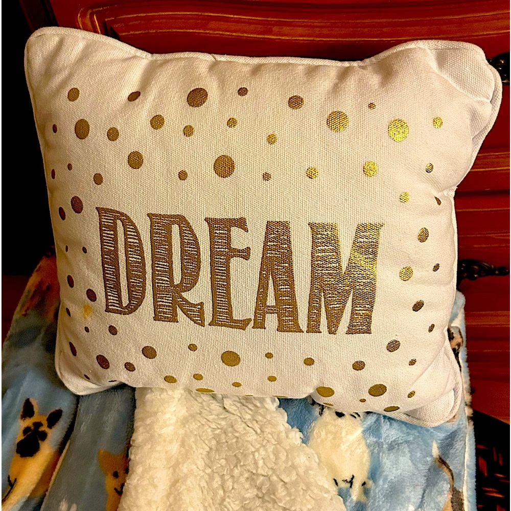 9x11 LEVTEX ACCENT”DREAM” PILLOW